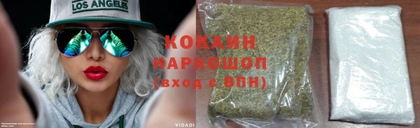 apvp Богородицк