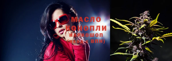 ешки Бородино