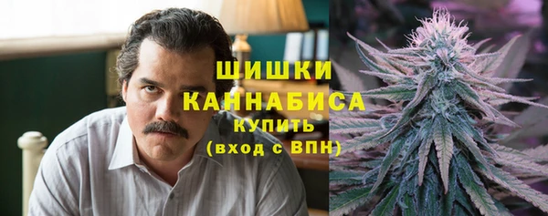 apvp Богородицк