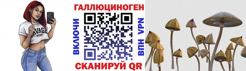Галлюциногенные грибы мухоморы Губкинский