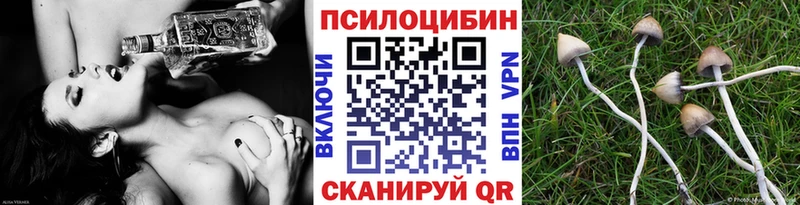 Галлюциногенные грибы мицелий  blacksprut зеркало  Губкинский 